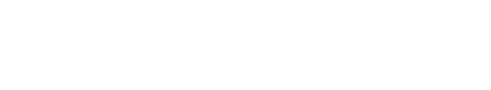 Haga Group